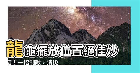 龍龜擺放位置2023|龍龜擺放高度指南：招財、化煞、鎮宅的最佳位置 